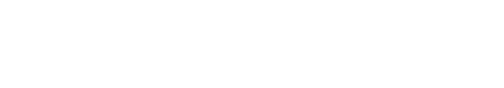 CodeHunter Logo